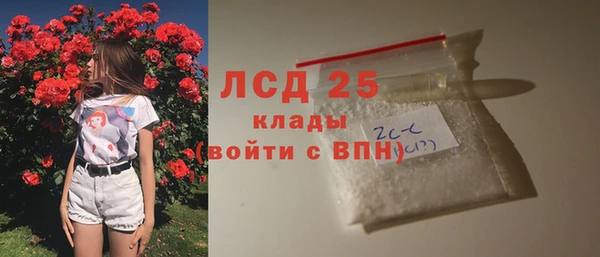 дмт Магас