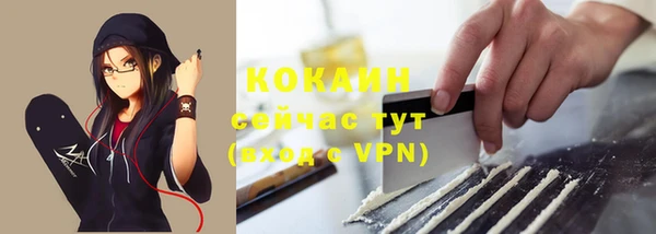 дмт Магас