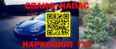 jwh Малгобек