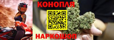 мяу мяу мука Малоярославец