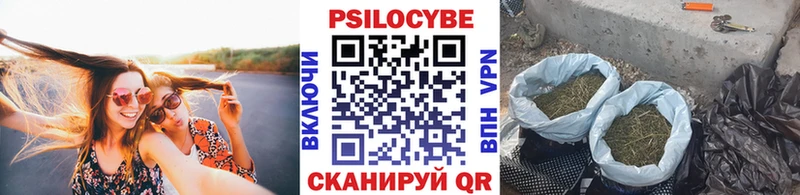 Галлюциногенные грибы ЛСД  omg маркетплейс  Торжок  продажа наркотиков 
