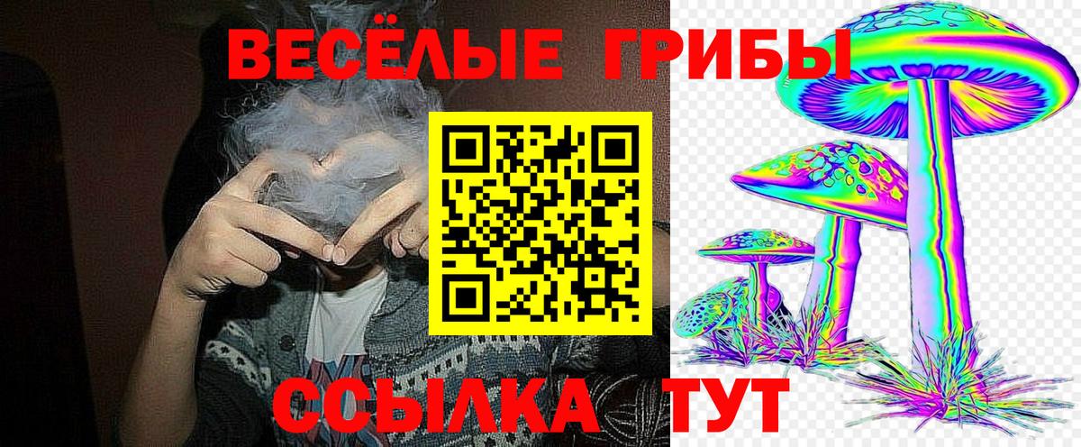 Торжок  Псилоцибиновые грибы ЛСД  Вход с VPN  Галлюциногенные грибы ЛСД 