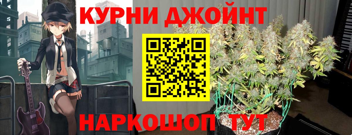 Псилоцибиновые грибы Торжок